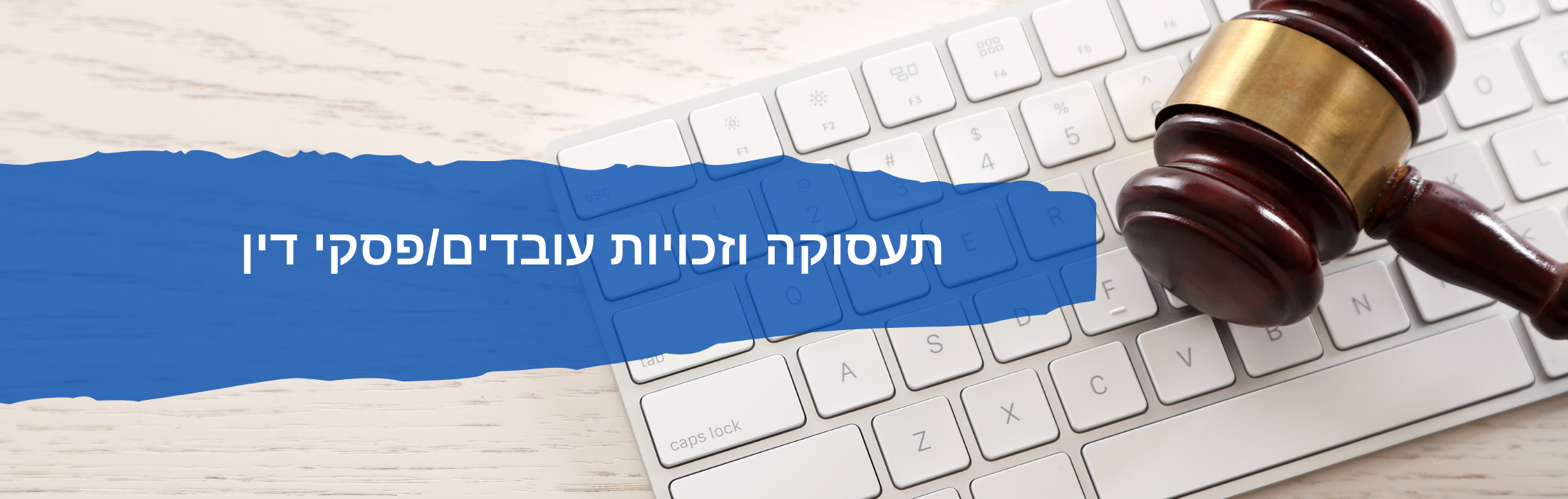 https://www.michpalyeda.co.il/wp-content/uploads/2024/03/תעסוקה-וזכויות-עובדי-פסקי-דין.png